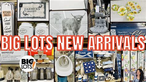 big lots ad|BIG LOTS NEW BIG BARGAIN ARRIVALS & NEW BARGAIN .